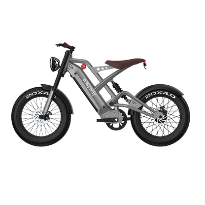 JGW Electric Bike – Powerful Motor, Long-Range Battery | Perfect for City & Off-Road