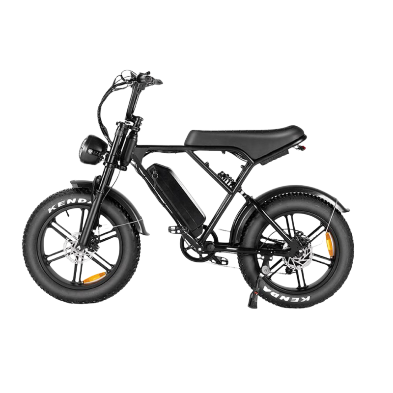 Cool Riding Pioneer: H9 Electric Bike