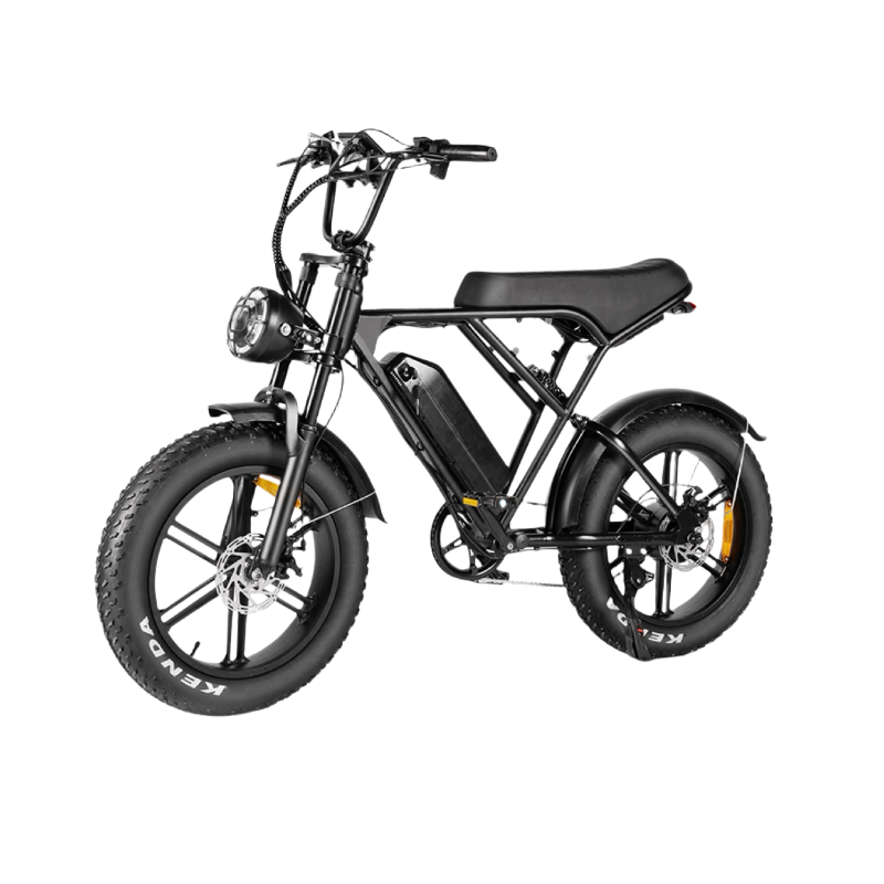 Cool Riding Pioneer: H9 Electric Bike