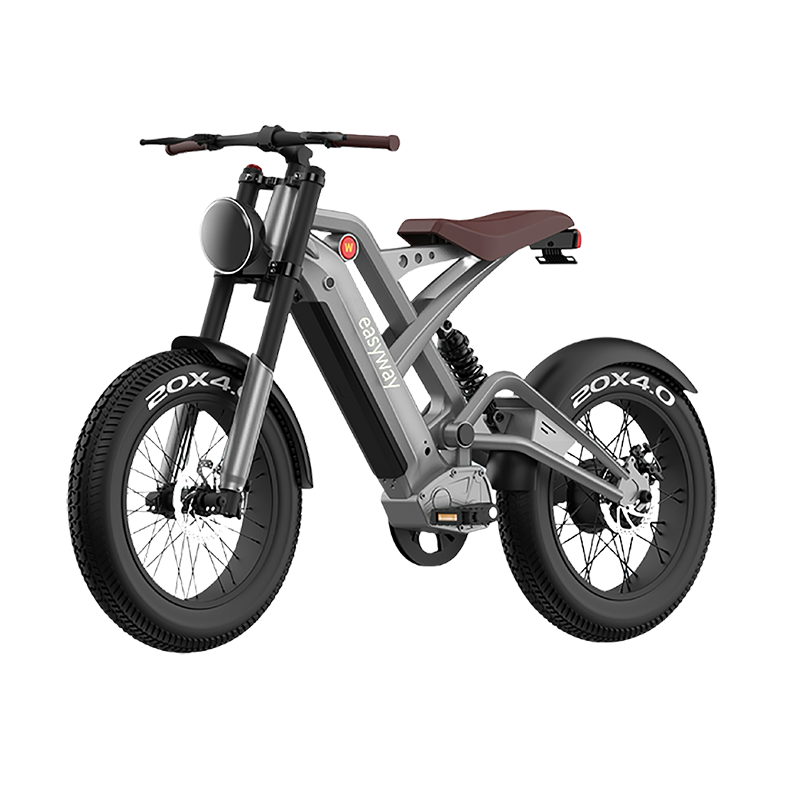 JGW Electric Bike – Powerful Motor, Long-Range Battery | Perfect for City & Off-Road