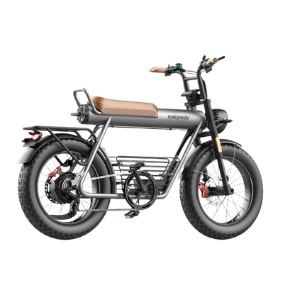 Easyway ECT20 Electric Bike | Family Version Design, 1500W Peak Power, 5.0-Inch Extra-Wide Tires