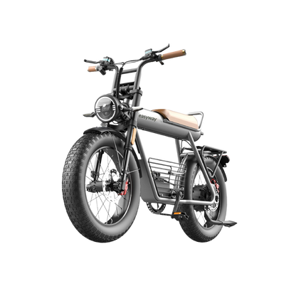 Easyway ECT20 Electric Bike | Family Version Design, 1500W Peak Power, 5.0-Inch Extra-Wide Tires