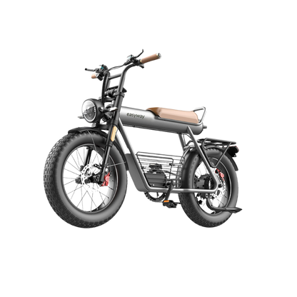 Easyway ECT20 Electric Bike | Family Version Design, 1500W Peak Power, 5.0-Inch Extra-Wide Tires