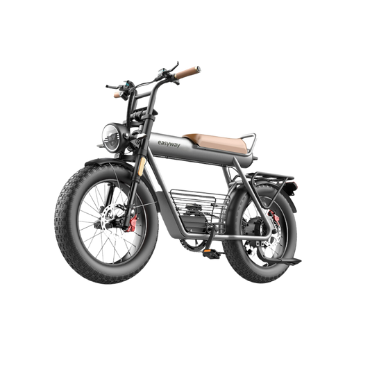 Easyway ECT20 Electric Bike | Family Version Design, 1500W Peak Power, 5.0-Inch Extra-Wide Tires