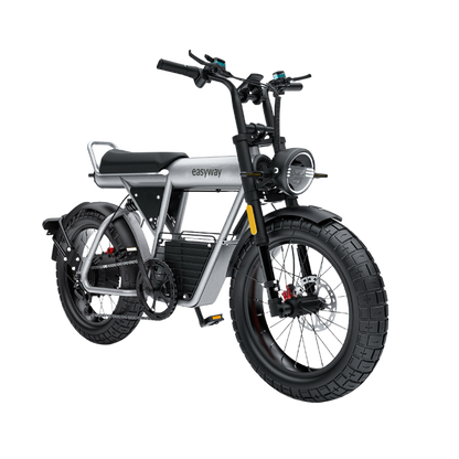 ECT20S Electric Bike: Unleash Your Urban Adventure