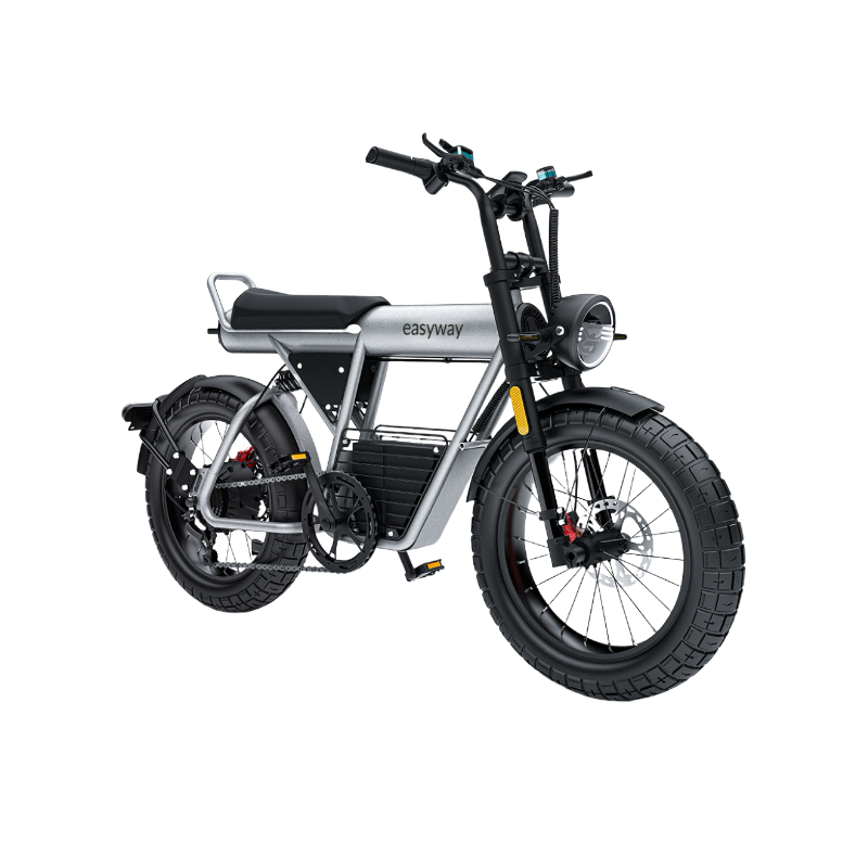 ECT20S Electric Bike: Unleash Your Urban Adventure