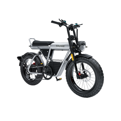 ECT20S Electric Bike: Unleash Your Urban Adventure