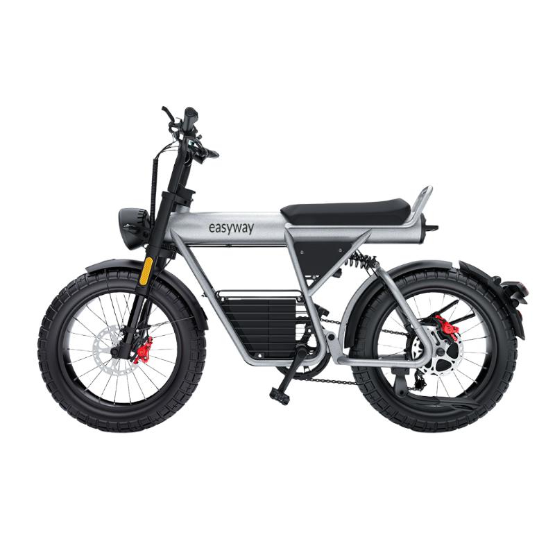 ECT20S Electric Bike: Unleash Your Urban Adventure