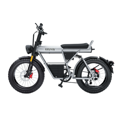 ECT20S Electric Bike: Unleash Your Urban Adventure