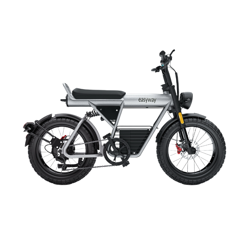 ECT20S Electric Bike: Unleash Your Urban Adventure