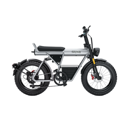 ECT20S Electric Bike: Unleash Your Urban Adventure