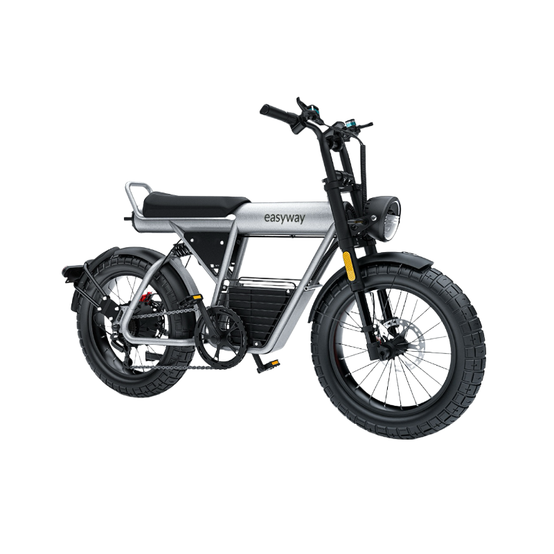 ECT20S Electric Bike: Unleash Your Urban Adventure