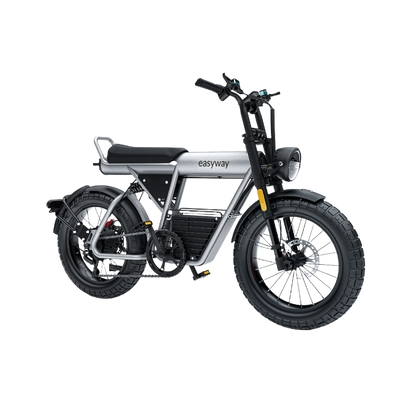 ECT20S Electric Bike: Unleash Your Urban Adventure