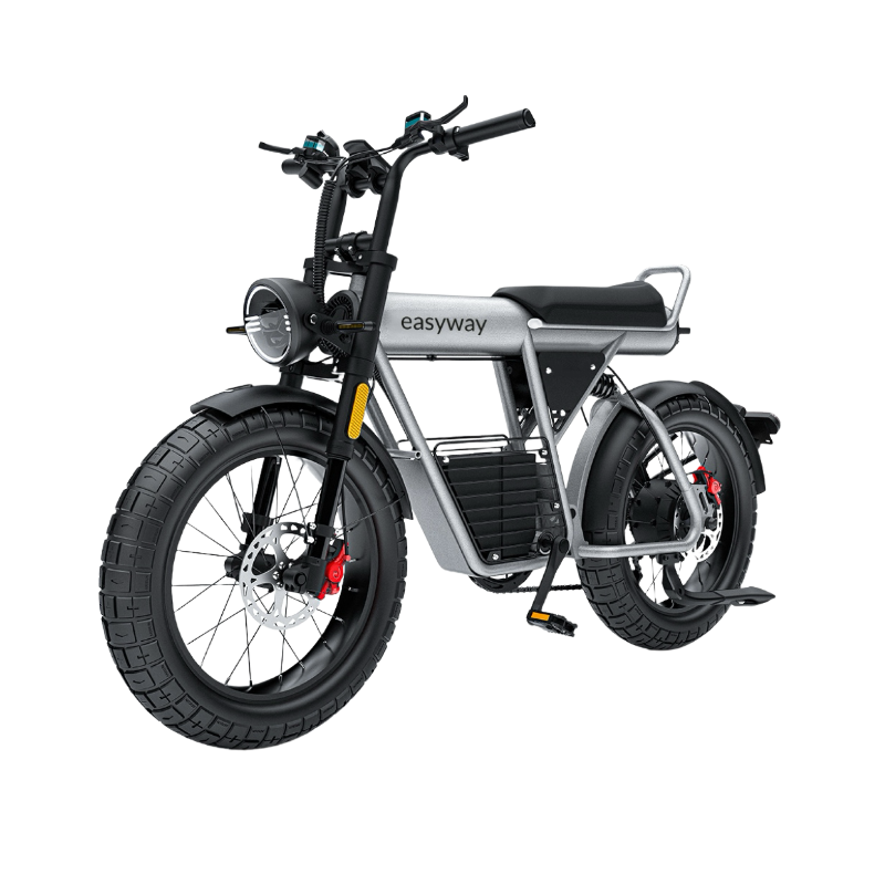 ECT20S Electric Bike: Unleash Your Urban Adventure