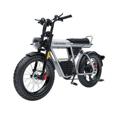 ECT20S Electric Bike: Unleash Your Urban Adventure