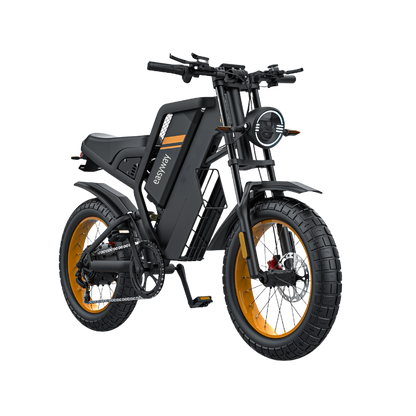 Trendy and Cool Ride, Smooth Journey All the Way - EGT20 Electric Bicycle