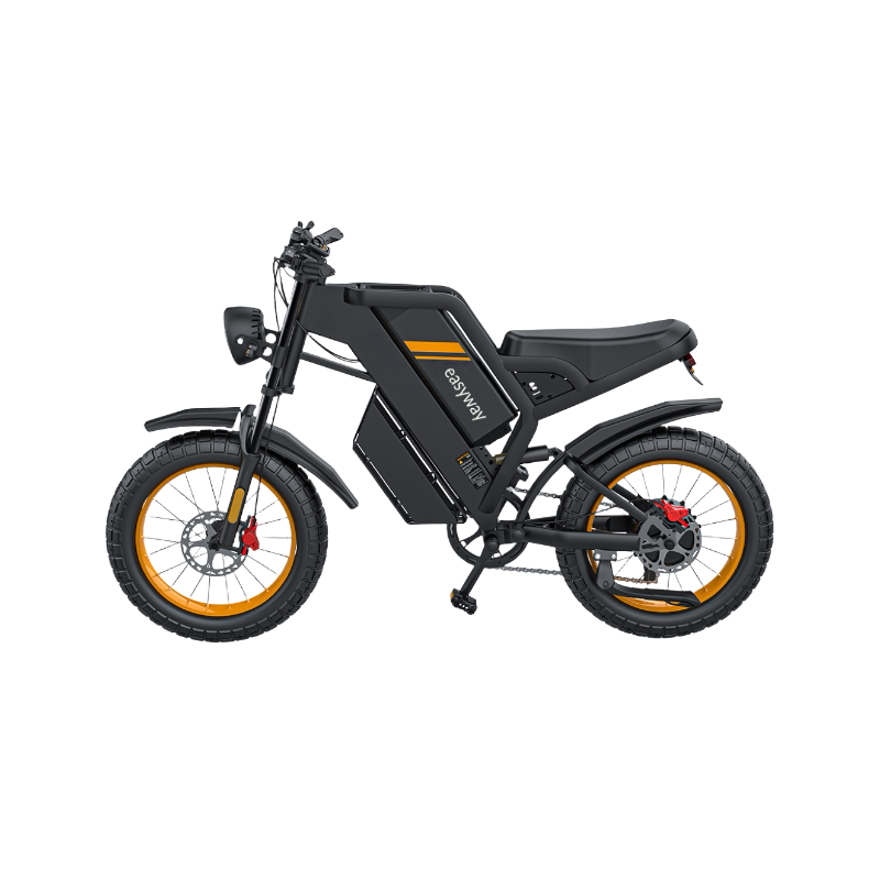 Trendy and Cool Ride, Smooth Journey All the Way - EGT20 Electric Bicycle