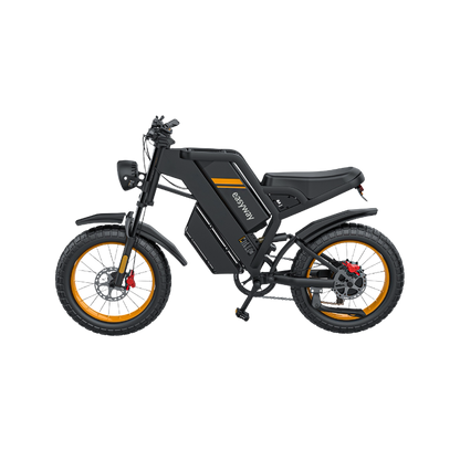 Trendy and Cool Ride, Smooth Journey All the Way - EGT20 Electric Bicycle