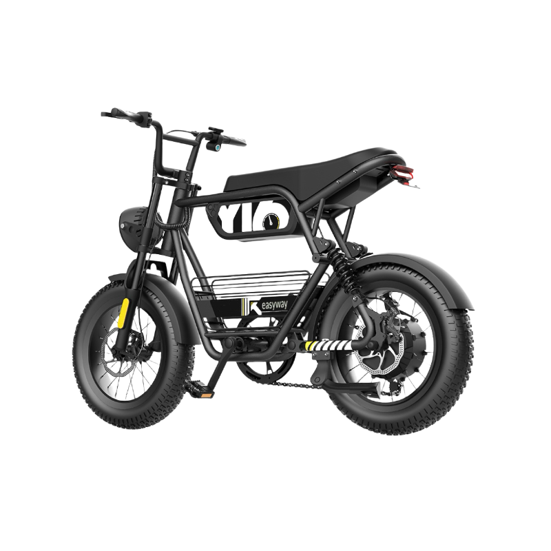 Trendy and Cool Ride, Enjoyable Cycling - EY16 Electric Bicycle