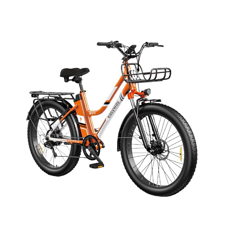 Vibrant Commute, Handy Ride - ERV3 Electric Bicycle