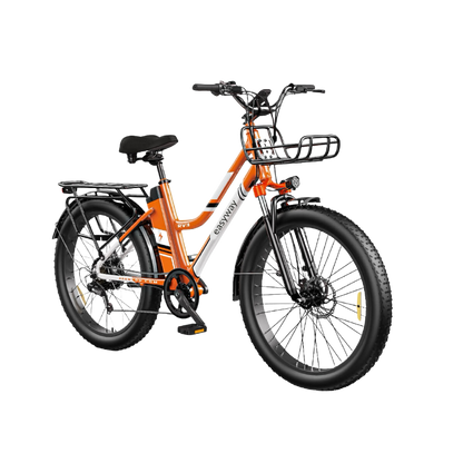 Vibrant Commute, Handy Ride - ERV3 Electric Bicycle