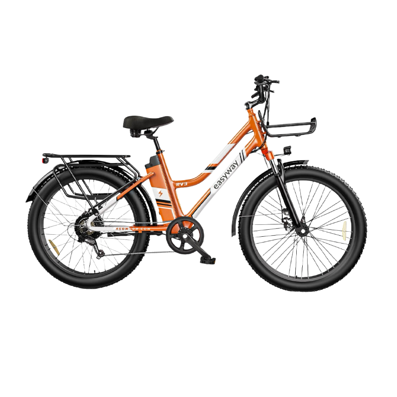 Vibrant Commute, Handy Ride - ERV3 Electric Bicycle