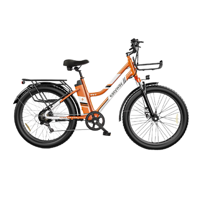 Vibrant Commute, Handy Ride - ERV3 Electric Bicycle