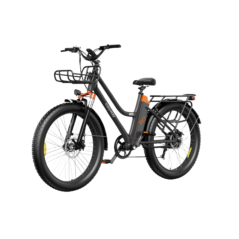 Vibrant Commute, Handy Ride - ERV3 Electric Bicycle