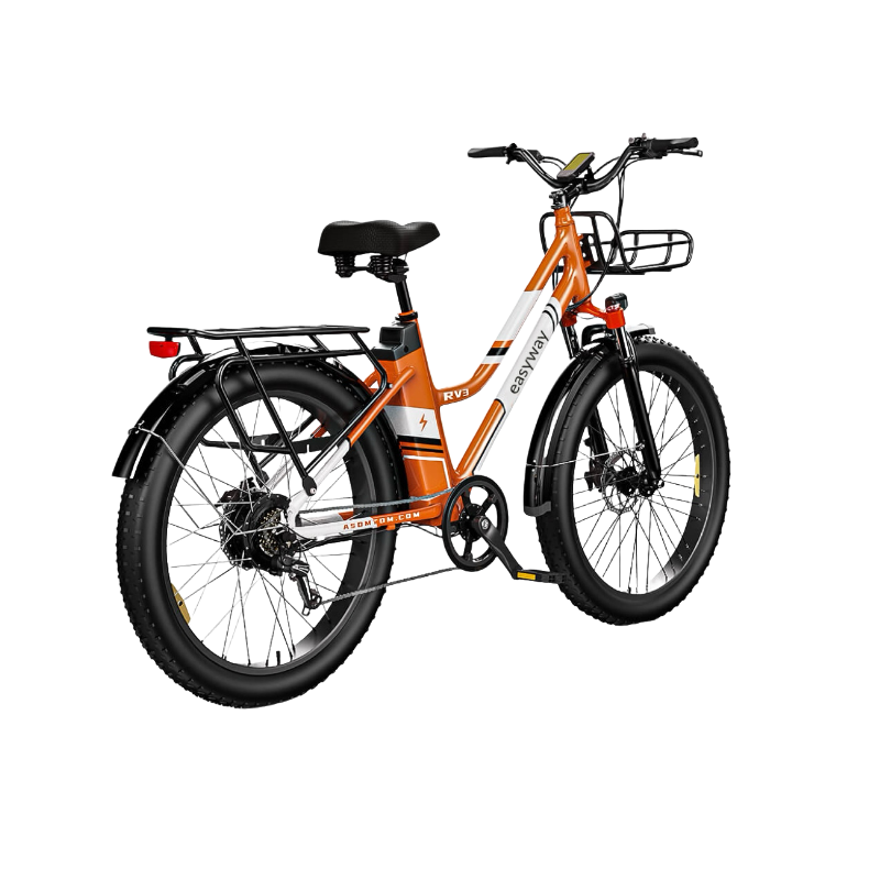 Vibrant Commute, Handy Ride - ERV3 Electric Bicycle