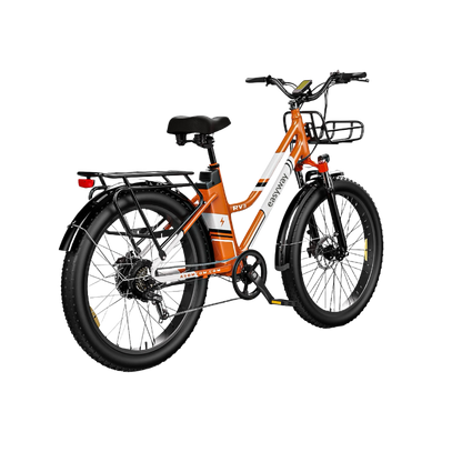 Vibrant Commute, Handy Ride - ERV3 Electric Bicycle