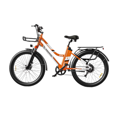 Vibrant Commute, Handy Ride - ERV3 Electric Bicycle