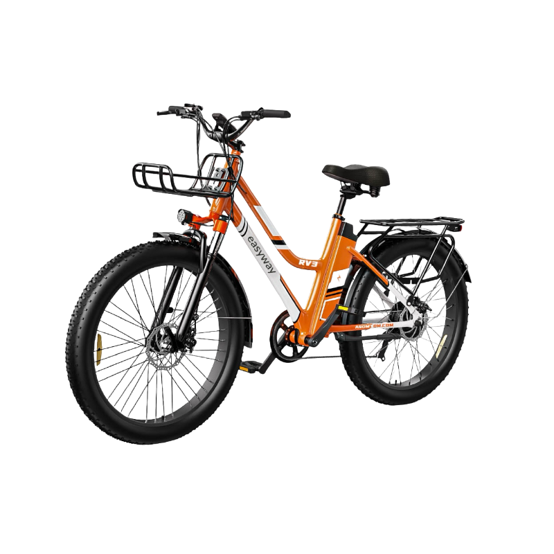 Vibrant Commute, Handy Ride - ERV3 Electric Bicycle