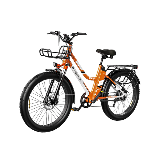 Vibrant Commute, Handy Ride - ERV3 Electric Bicycle