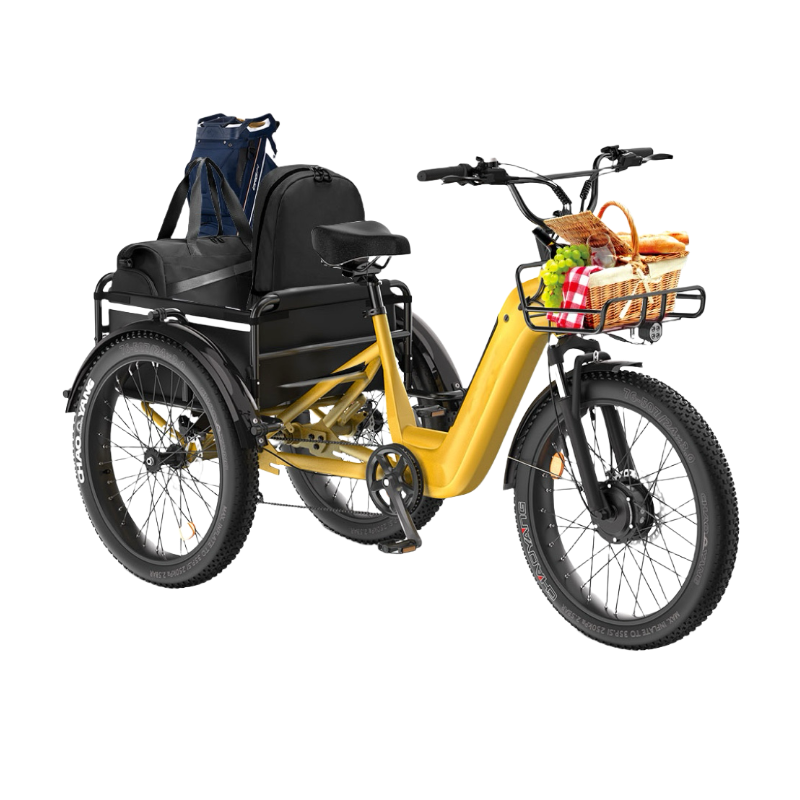 Three - wheel Cargo Carrier, Convenient Travel - EW1 Electric Tricycle