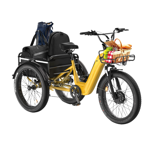 Three - wheel Cargo Carrier, Convenient Travel - EW1 Electric Tricycle