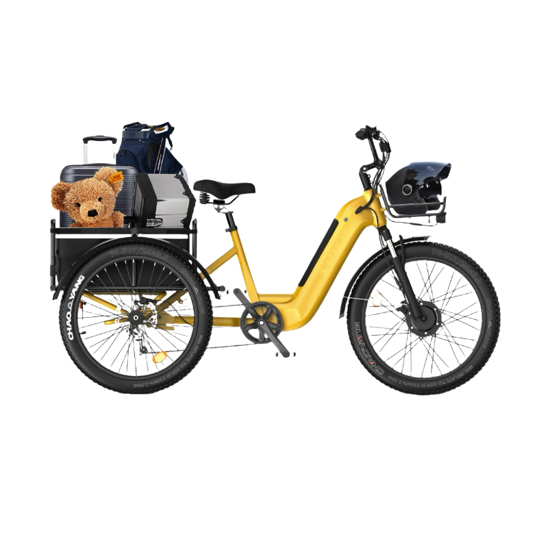 Three - wheel Cargo Carrier, Convenient Travel - EW1 Electric Tricycle