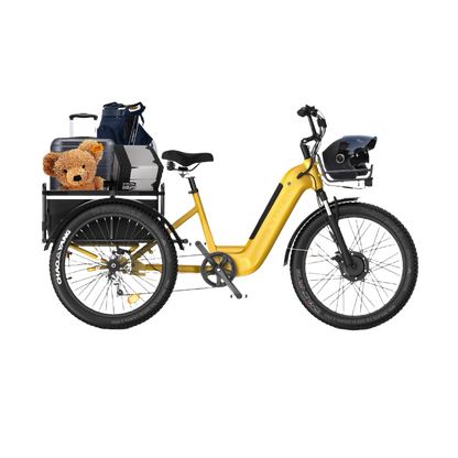 Three - wheel Cargo Carrier, Convenient Travel - EW1 Electric Tricycle