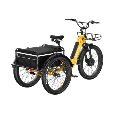 Three - wheel Cargo Carrier, Convenient Travel - EW1 Electric Tricycle