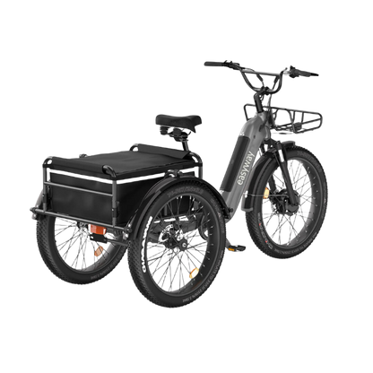 Three - wheel Cargo Carrier, Convenient Travel - EW1 Electric Tricycle