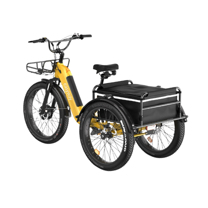 Three - wheel Cargo Carrier, Convenient Travel - EW1 Electric Tricycle