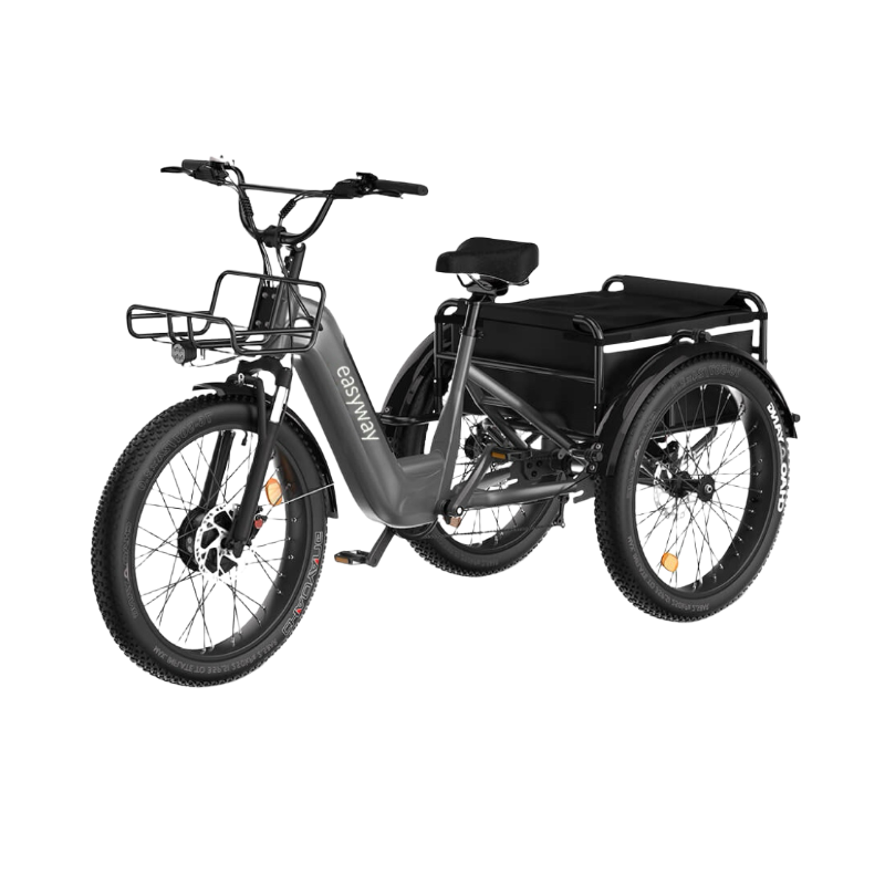 Three - wheel Cargo Carrier, Convenient Travel - EW1 Electric Tricycle