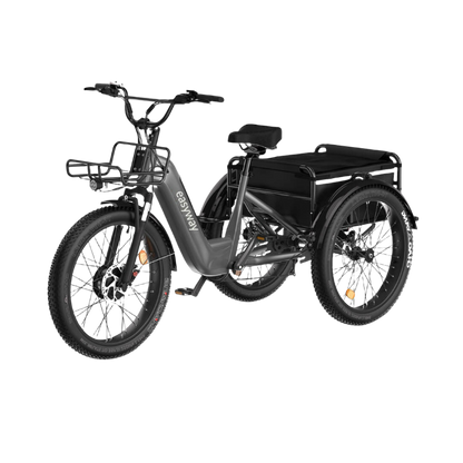 Three - wheel Cargo Carrier, Convenient Travel - EW1 Electric Tricycle