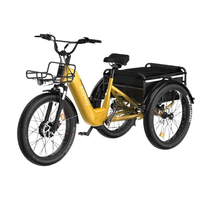 Three - wheel Cargo Carrier, Convenient Travel - EW1 Electric Tricycle