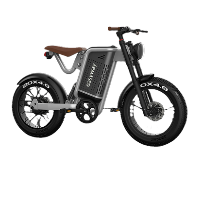 XM Electric Bike: Unleash Stylish Riding