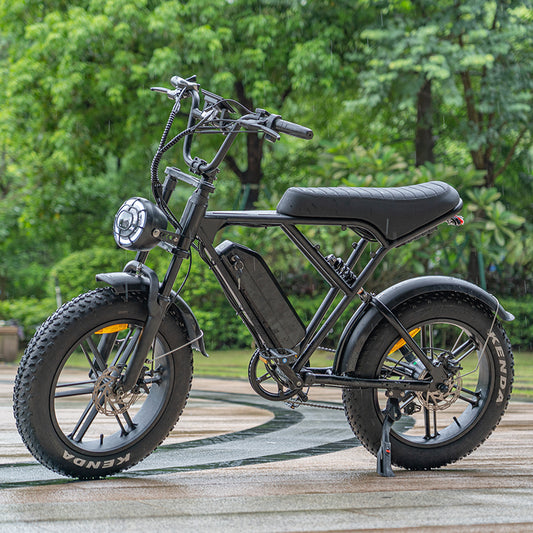 Cool Riding Pioneer: H9 Electric Bike