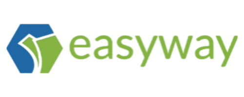 Easyway ebike