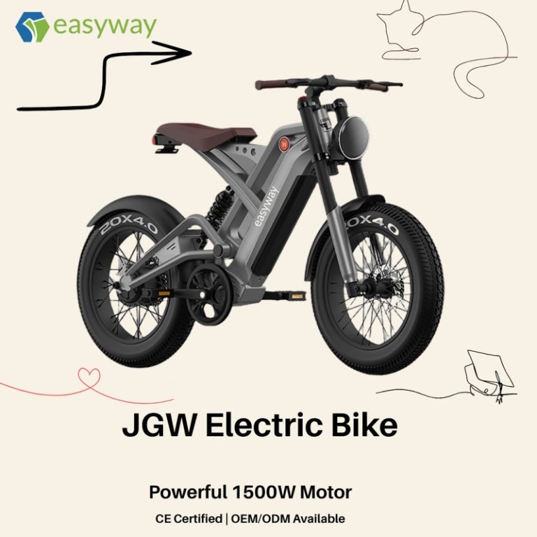 Easyway Easyway E-bike - OEM / ODM Electric Bike Manufacturer