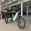 5062ca7f1a4def8a719d06759386c66 G203 Electric Tricycle (20″ Fat Tire | 48V 750W)