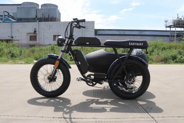 IMG_5872 G550 Electric Tricycle | 750W Dual Battery Fat Tire Electric Cargo Trike