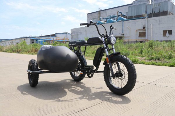 IMG_5876 G550 Electric Tricycle | 750W Dual Battery Fat Tire Electric Cargo Trike